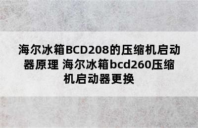 海尔冰箱BCD208的压缩机启动器原理 海尔冰箱bcd260压缩机启动器更换